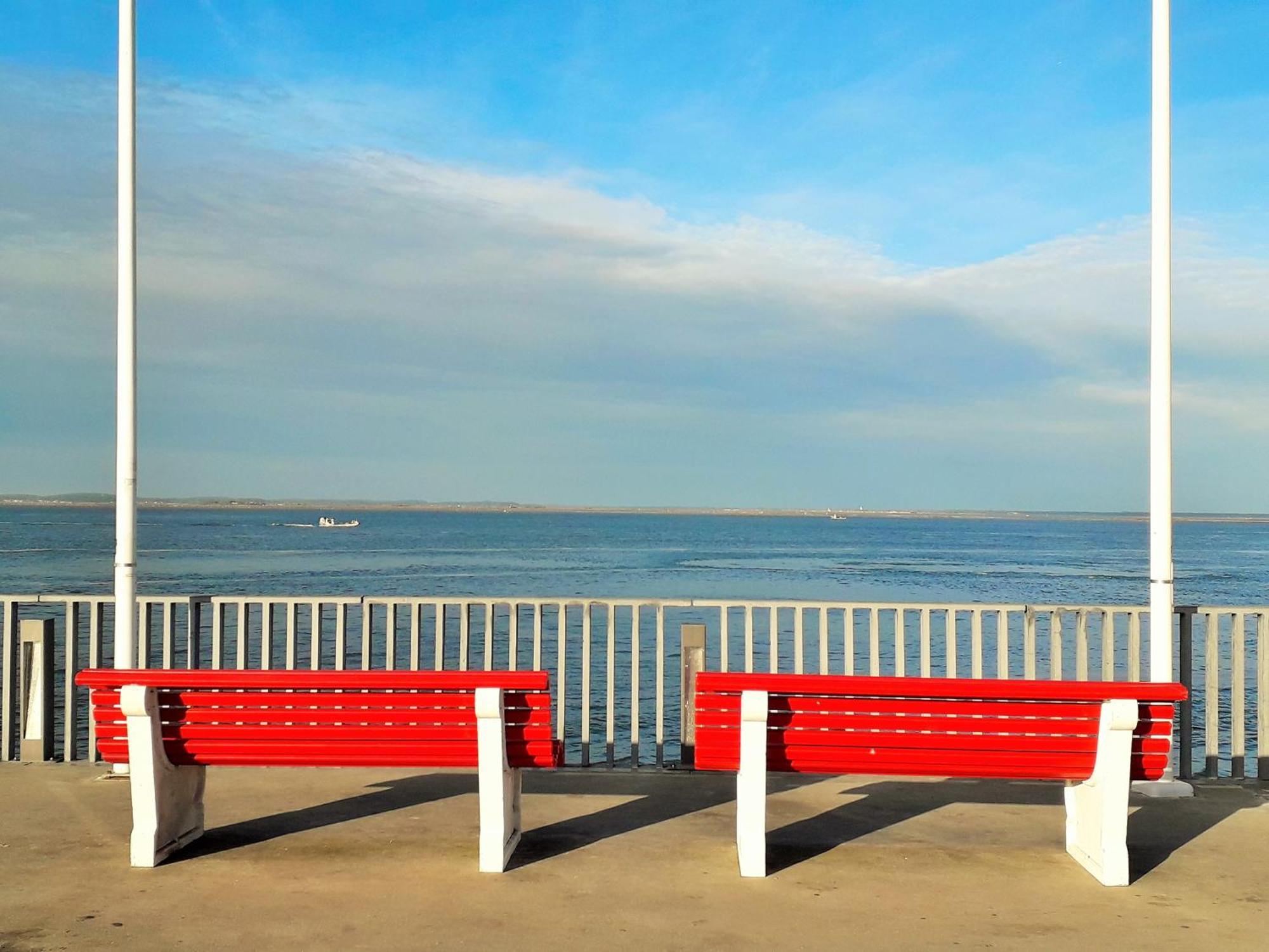 St Arnaud Appartement Calme Parking Proche Plage Arcachon Bagian luar foto